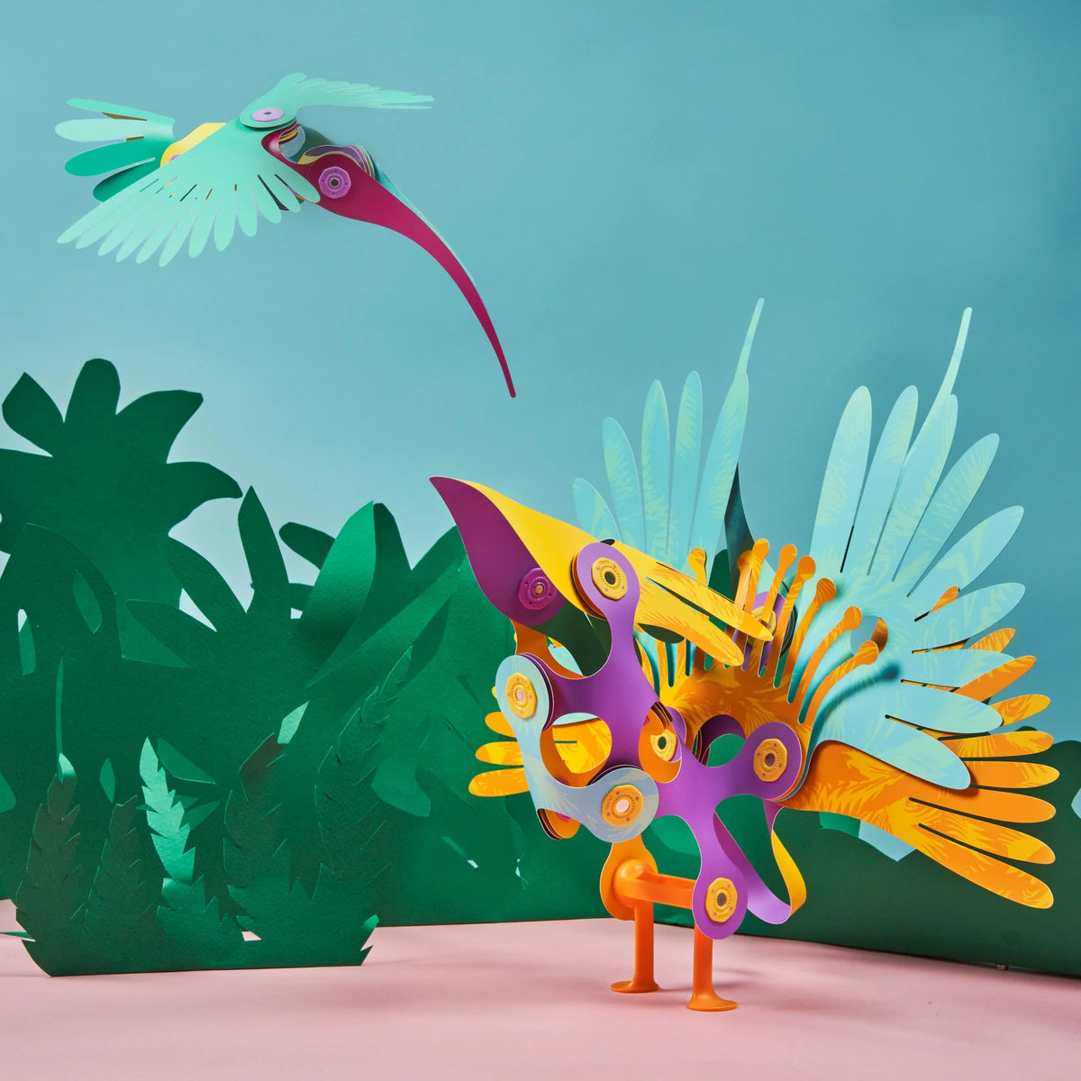Clixo Tropical Birds